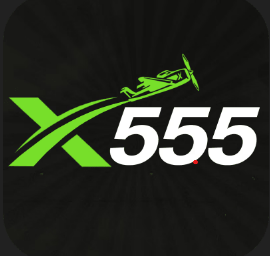 X555 icon